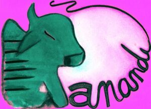 Logo Anandi
